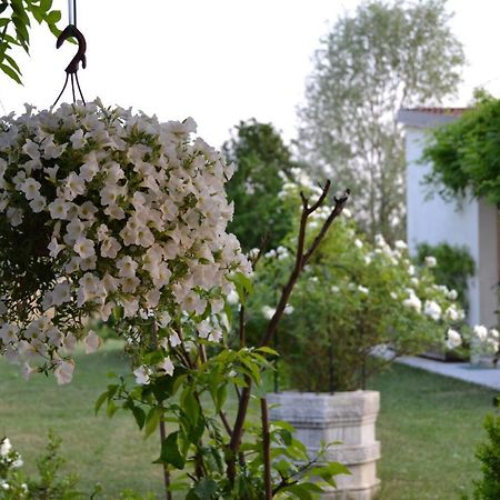Two Elegant Depandance Villa Conscio Екстериор снимка